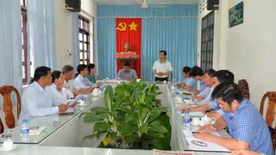 Lederne for Dong Thap avis, radio og fjernsyn samarbeidet med kommunene Go Cong Dong og Tan Dien om propagandakoordineringsarbeid.