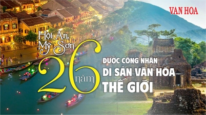 Consultoria sobre o trabalho de preservação e promoção sustentável do patrimônio de Hoi An no novo contexto.