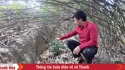 ການ​ປະ​ຕິ​ບັດ​ເບື້ອງ​ຕົ້ນ​ຂອງ​ເຂດ​ຍົກຍ້າຍ​ຖິ່ນ​ຖານ​ຢູ່​ຕາ​ແສງ Trung Ly