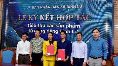 کاساوا سے مصنوعات کی کھپت پر تعاون کے معاہدے پر دستخط