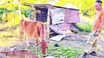 ຄວາມ​ສົດ​ໃສ​ໃຫມ່​ໃນ Dak Ui​