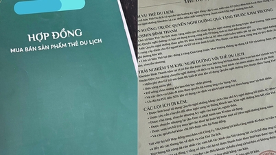 បំរែបំរួលនៃគំរូ 'កម្មសិទ្ធិវិស្សមកាល'៖ ការកំណត់អន្ទាក់នៅក្នុង 'សិក្ខាសាលាបិទ'