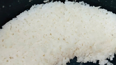 បាយ​ត្រជាក់​ទុក​មួយ​យប់ តើ​សុខ​ចិត្ត​ញ៉ាំ​ថ្ងៃ​ក្រោយ​ទេ?