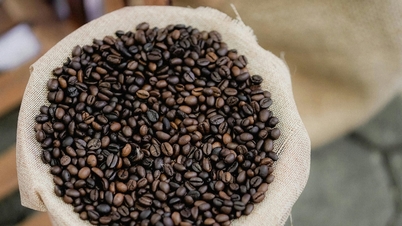 আজ ৫ ডিসেম্বর, ২০২৫ তারিখে কফির দাম: টানা তৃতীয় সেশনের জন্য তীব্র পতন