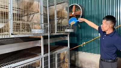 Politika kredi programlarındaki faiz oranlarını düşürün