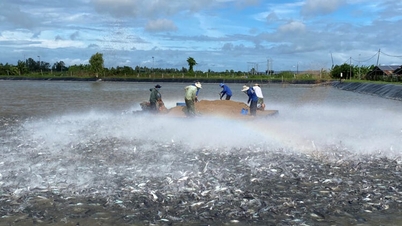 ג'יאנג בדרך להפוך למוקד הצמיחה החדש של האזור