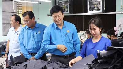 Sicherstellung der Voraussetzungen für die Organisation des Provinzgewerkschaftskongresses