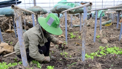 חקלאים מסתגלים לשינויי האקלים כדי לשמור על מקור פרנסתם