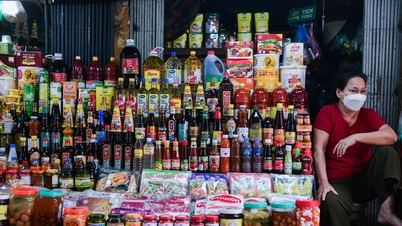 व्यावसायिक घरानों के लिए कर छूट सीमा को बढ़ाकर 500 मिलियन VND/वर्ष करना: क्या यह उचित है?