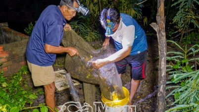 เข้าป่าไปดูโคลนที่เทลงมา