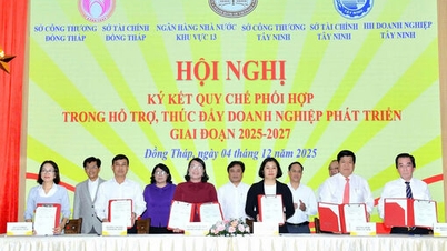 Dong Thap ve Tay Ninh: Bağları güçlendirmek, büyüme potansiyelini genişletmek