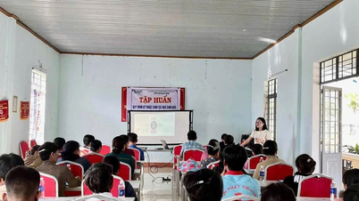 Po To bölgesindeki çiftçilere biyokütle mısır yetiştirme teknikleri konusunda eğitim