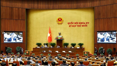 Majelis Nasional membahas program sasaran nasional dan memberikan suara pada tiga undang-undang penting.