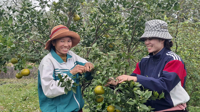 Access to knowledge - the 'key' to poverty reduction