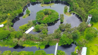 ការធ្វើអាជីវកម្មទេសចរណ៍ U Minh Thuong សមស្របនឹងសក្តានុពលរបស់ខ្លួន។