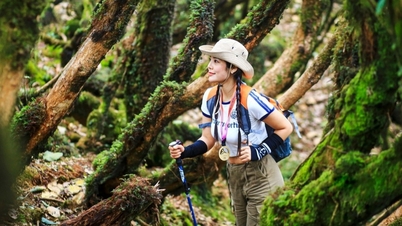 اکیلے سفر کے دوران ویتنامی سیاحوں کو جنسی طور پر ہراساں کیا جا رہا ہے: کوئی غیر معمولی بات نہیں، اپنے آپ کو بچانے کے لیے کیا کریں؟