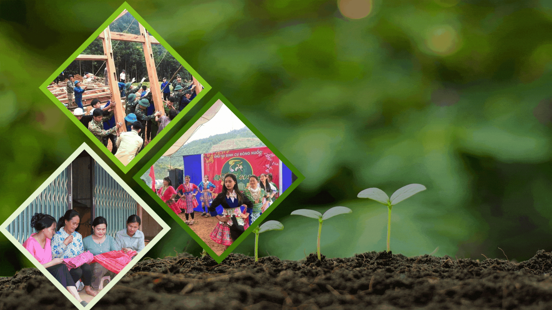 "إنبات" السعادة