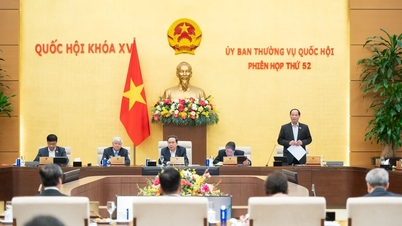 Perfecting press development policy