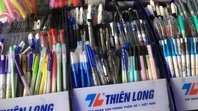 일본 기업에 인수되기 전 티엔롱 볼펜 사업 상황