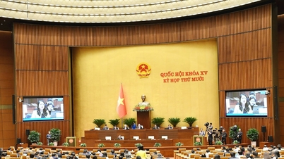 সংসদ এবং গণতন্ত্রের গঠন