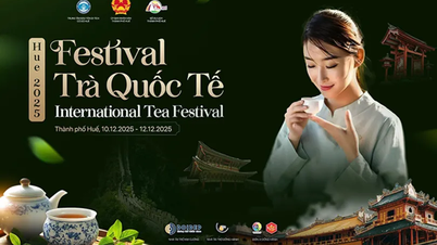 ہیو انٹرنیشنل ٹی فیسٹیول 2025 10 سے 12 دسمبر تک منعقد ہوگا۔