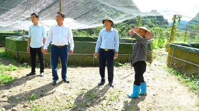 Novo movimento em Than Sa