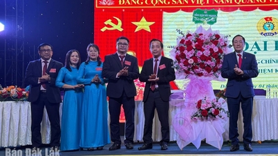 다크락 지방 사회정책은행 노동조합 제1차 대회, 임기 2025-2030