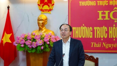 Unificar los contenidos que se presentarán en la reunión de fin de año del Consejo Popular Provincial