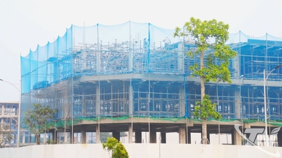 バクアンは主要プロジェクトで繁栄する