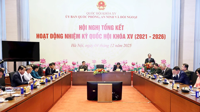 राष्ट्रीय रक्षा, सुरक्षा और विदेशी मामलों पर पार्टी के दिशानिर्देशों और रणनीतियों को पूरी तरह से वैध बनाना