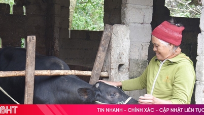 Parcours de réduction durable de la pauvreté à Mai Phu