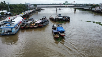 Dong Thap mencipta semula pemandangan delta sungai di Barat