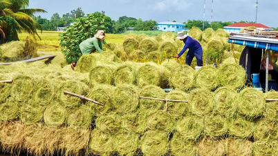 Propagace velkých výhod slámy
