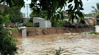 Se anuncia la emergencia por deslizamiento de tierra en la ribera del río Tien en la comuna de Tan Long.