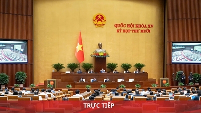 Отчет: Национальная ассамблея обсуждает национальную целевую программу до 2035 года