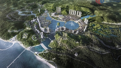 لقد أصبح عمل الترويج للاستثمار عمليًا وفعالًا بشكل متزايد.