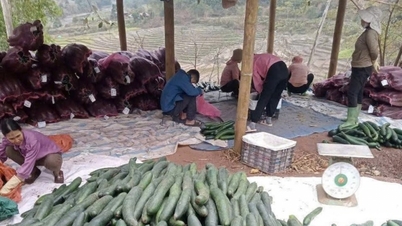 ការអភិវឌ្ឍន៍កសិកម្មប្រកបដោយនិរន្តរភាព - គន្លឹះក្នុងការកាត់បន្ថយភាពក្រីក្រនៅឃុំមឿងចា