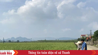 “Đánh thức” sản phẩm đặc hữu của địa phương