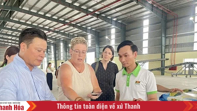 زيادة قيمة المنتجات الزراعية من خلال المعالجة العميقة