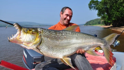 Tygří ryba Goliáš, nejobávanější predátor řeky Kongo