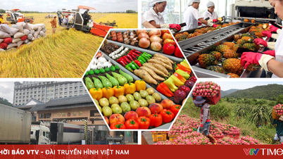 Les exportations de produits agricoles, forestiers et aquatiques sont en forte hausse, avec un objectif de 70 milliards de dollars.