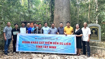 Tay Ninh consolidează schimburile și îmbunătățește eficiența managementului turismului