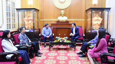 तुयेन क्वांग तूफानों और बाढ़ के परिणामों से निपटने के लिए 1 बिलियन वीएनडी के साथ मध्य और मध्य हाइलैंड्स क्षेत्रों का समर्थन करता है।