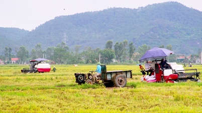 Nghe An: ຮູບ​ແບບ​ການ​ຮ່ວມ​ມື​ຊ່ວຍ​ປະ​ດິດ​ສ້າງ​ວິ​ທີ​ການ​ຜະ​ລິດ​ກະ​ສິ​ກຳ​ຈັດ​ຕັ້ງ