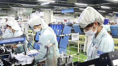 हनोई: 2026 की आर्थिक जनगणना के लिए प्रचार योजना का क्रियान्वयन