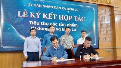 การขยายตลาดการแปรรูปมันสำปะหลัง