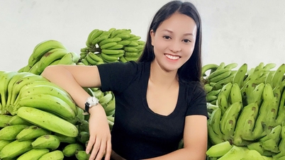 Realizace snů ze ztráty