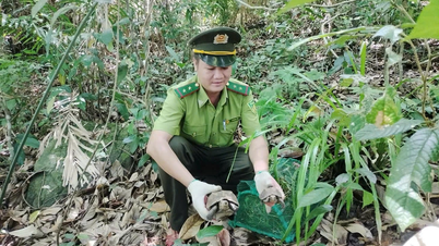 הפארק הלאומי באך מא הוכר כפארק מורשת ASEAN