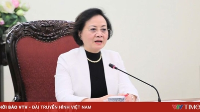 معاون نخست وزیر، فام تی تان ترا، درخواست بررسی کامل روش‌های ارزیابی مقامات و کارمندان دولت را داد.