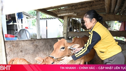 হুওং ফো-তে দরিদ্রদের জন্য কার্যকর "জীবিকা নির্বাহ"